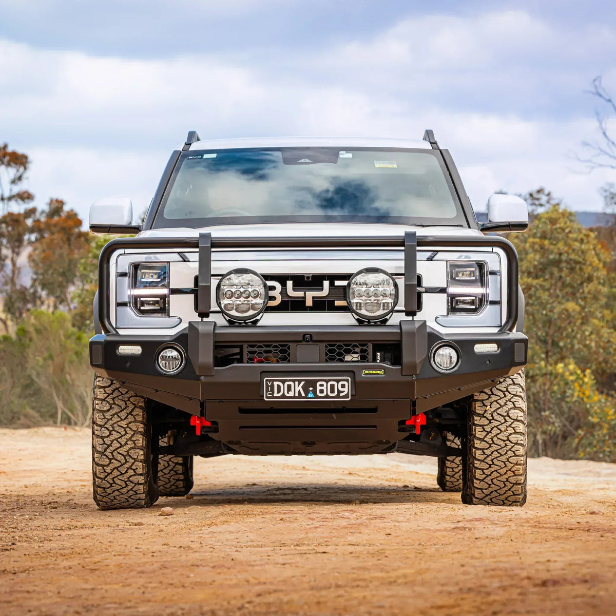 Deluxe Bull Bar – BYD Shark 6