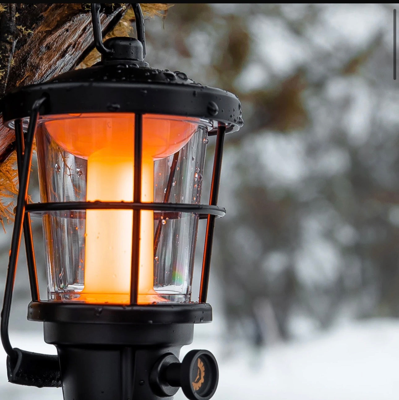 STEDI STELLA LANTERN