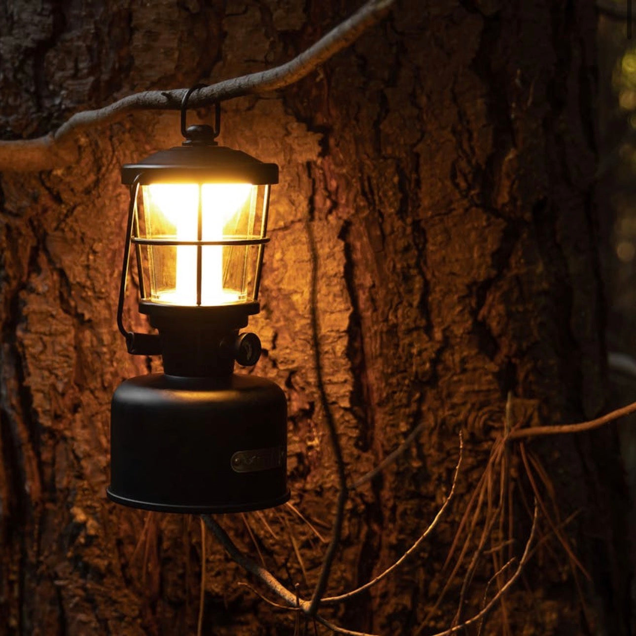 STEDI STELLA LANTERN